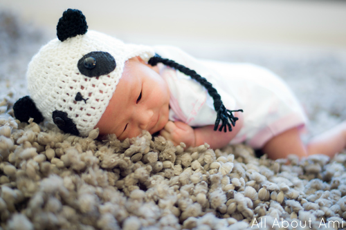 cute baby panda tumblr
